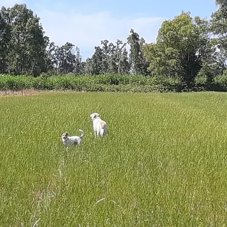 Vakantieboerderij Il Casale Corte Rossa