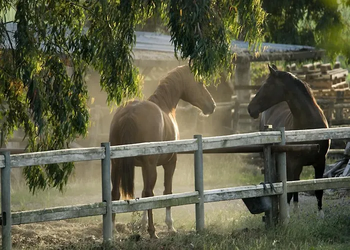 Il Casale Corte Rossa * Latina